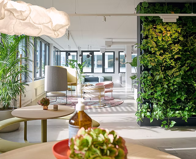 Green plant in a modern responsible workplace